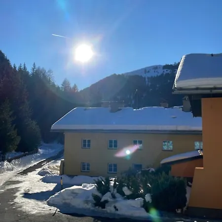Bernhardiner *